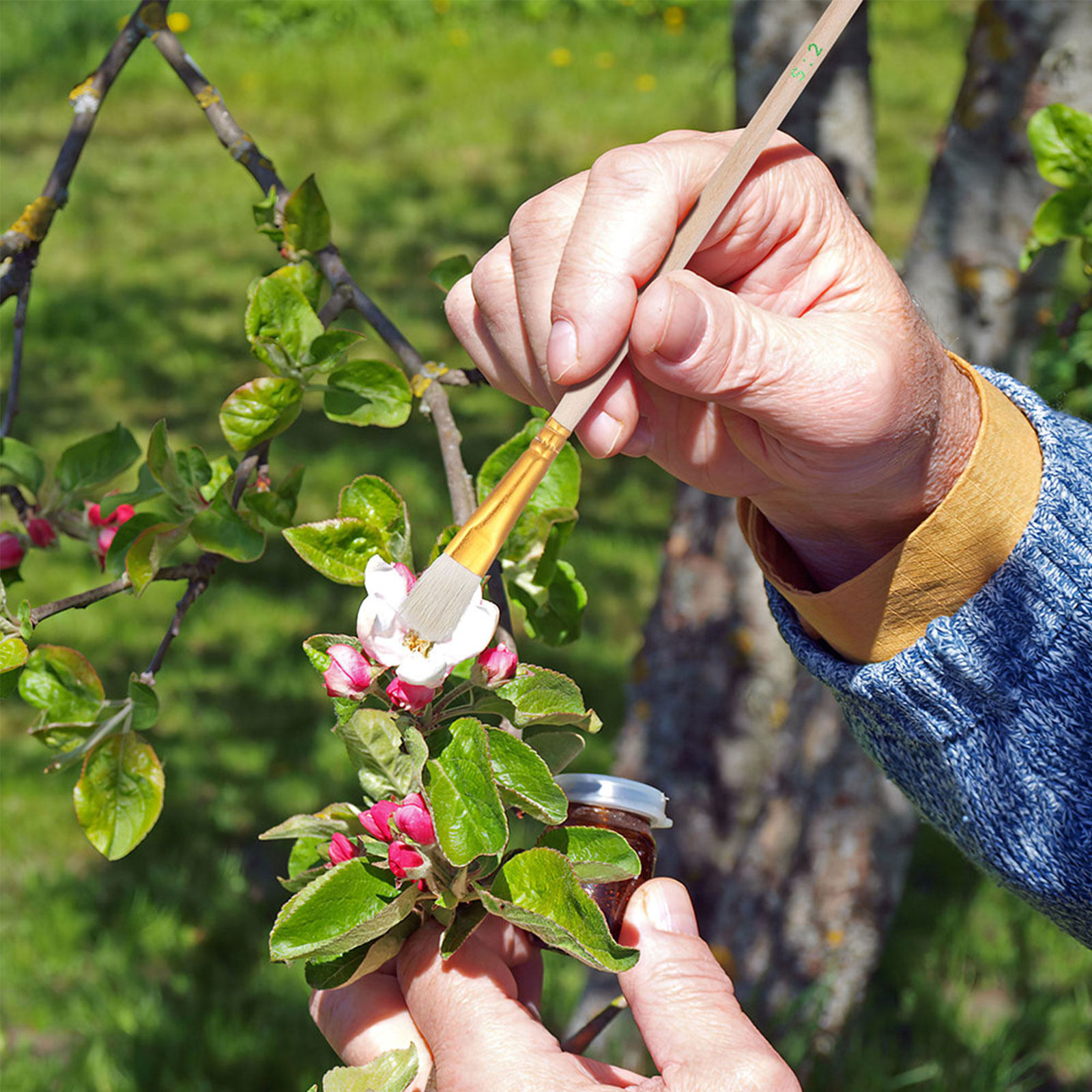 Gardening Tools Hand - 16個入り花粉散布ブラシキット 多用途ガーデン授粉ツール 水耕栽培鉢植え植物、野菜、果樹用