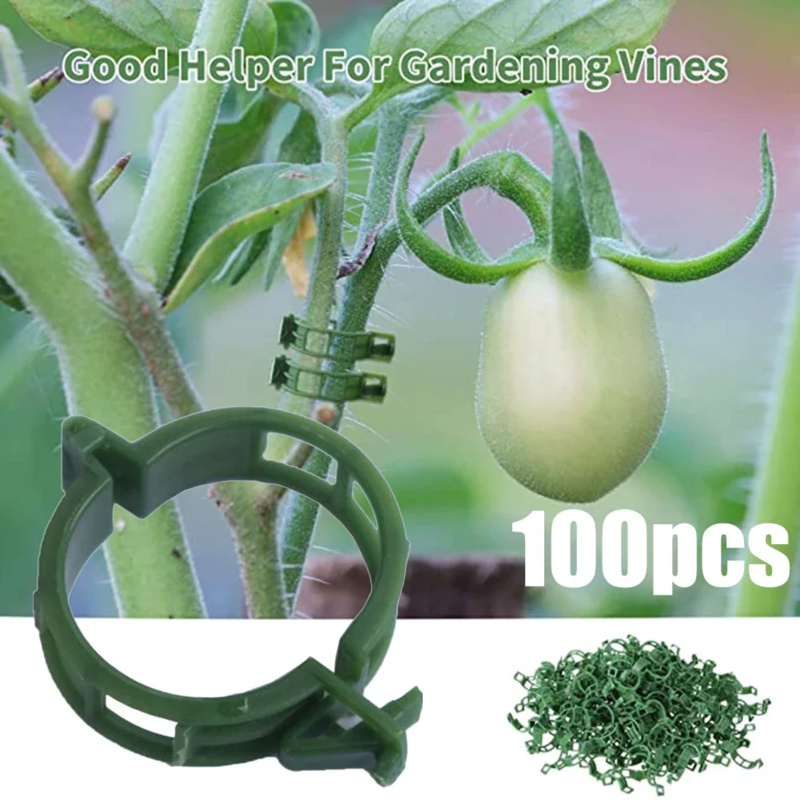 Gardening Tools Hoe - 100 個/植物サポートクリッププラスチックタイトレリスステーククリップガーデン野菜トマト温室ホルダーガーデンツールアクセサリー//