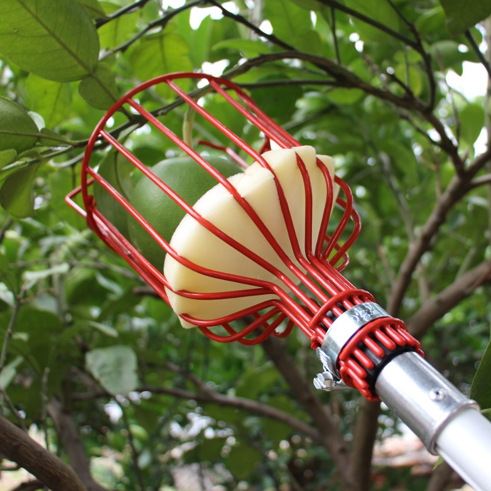 Gardening Tools Hand - 金属/プラスチック製フルーツピッカーヘッド（ポールなし）フルーツコレクター収穫用ピッキングツール（リンゴ、柑橘類、梨用）ガーデンハンドツール