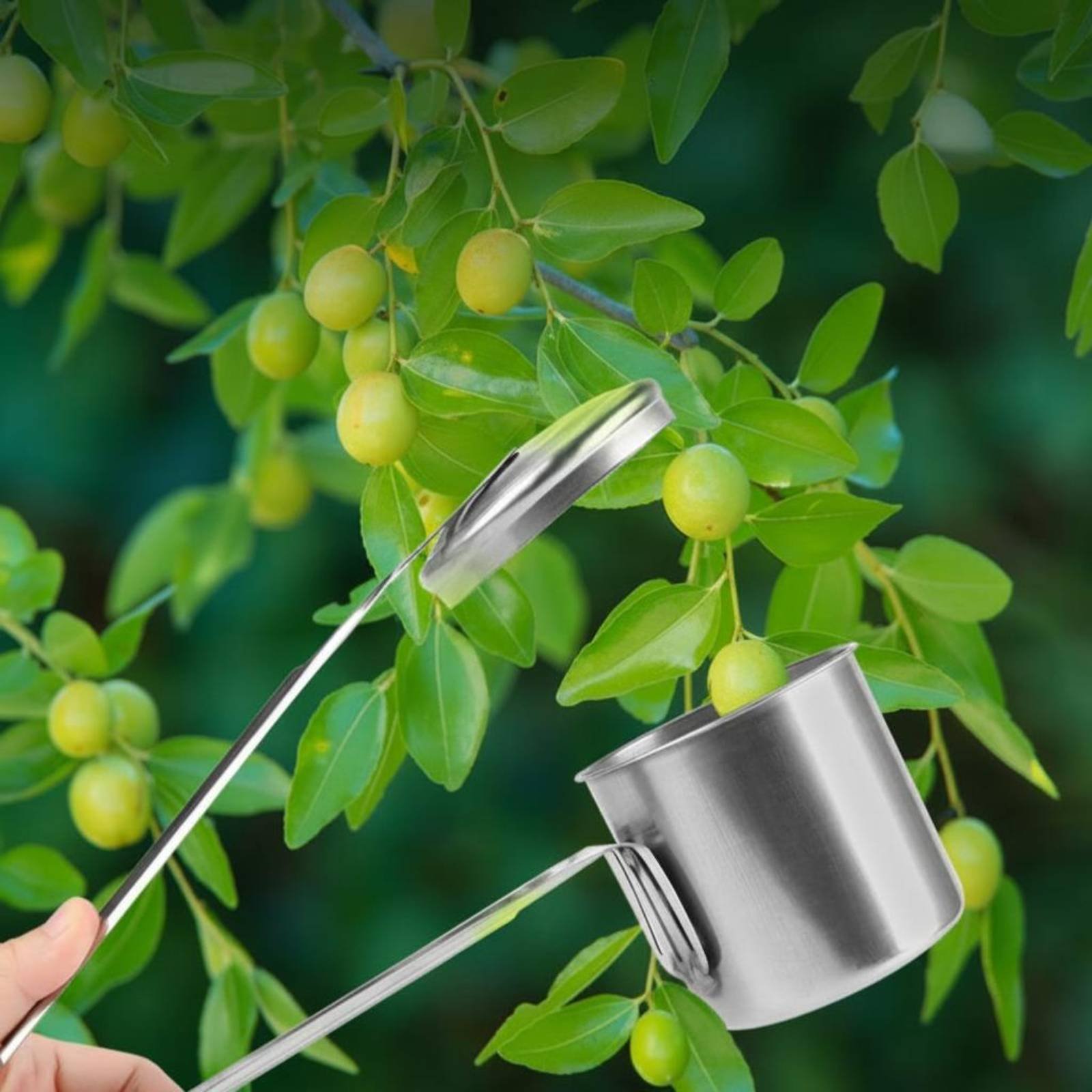 Gardening Tools Uses - カップフルーツピッカー ステンレス鋼製フルーツピッキングツール ガーデンギア 全金属製 使いやすい