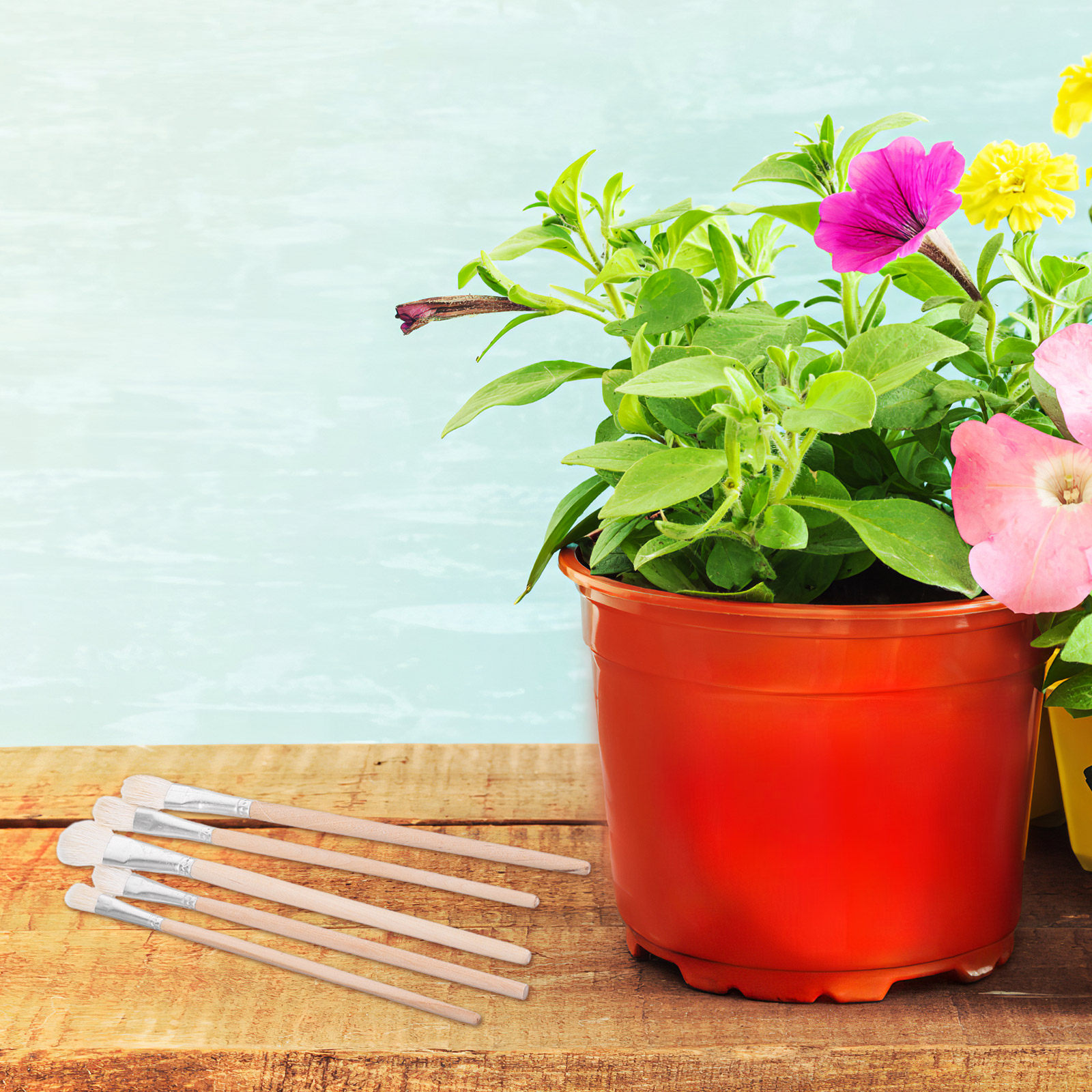 多肉植物、果樹、鉢花用の手動授粉ブラシ11個セット、精密な授 - Gardening Tools Hand のレビューと価格