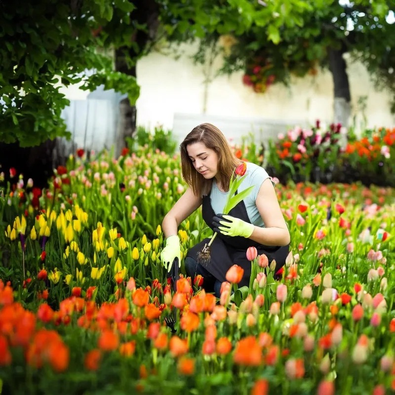 2in1ガーデンレーキ手動種子草根除去ツールプーラーシャベル - Gardening Tools Hoe のレビューと価格