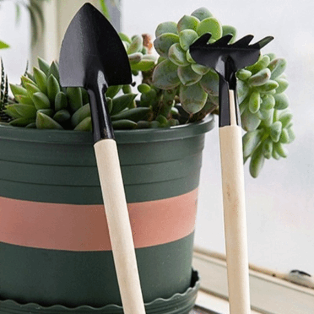 多機能ミニガーデン植栽ツールセット土掘りシャベル頑丈な盆栽移 - Spade Digging Fork のレビューと価格