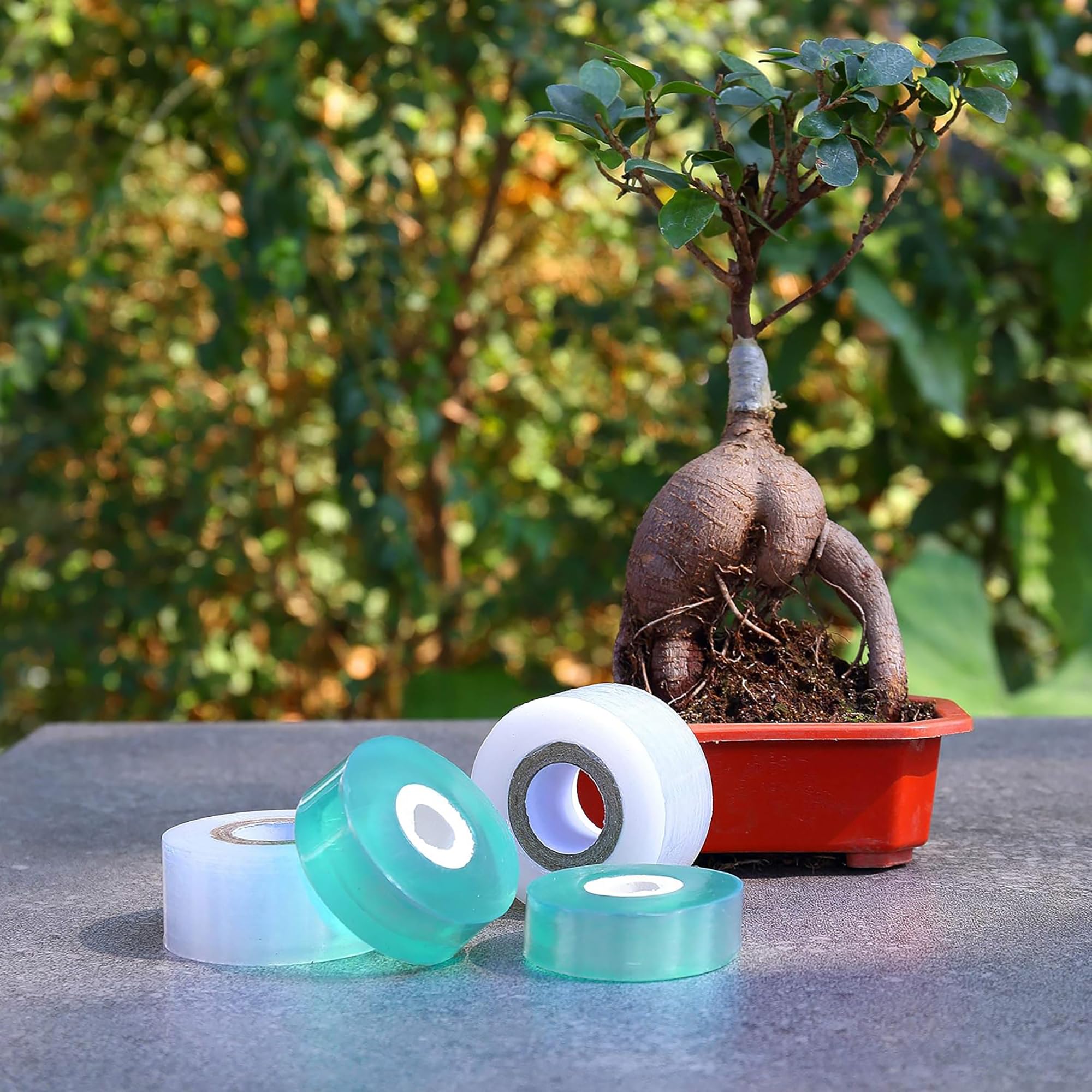 簡単使用 生分解性 自己粘着接木テープ 接木膜 植物結束ベル - Gardening Tools Uses のレビューと価格