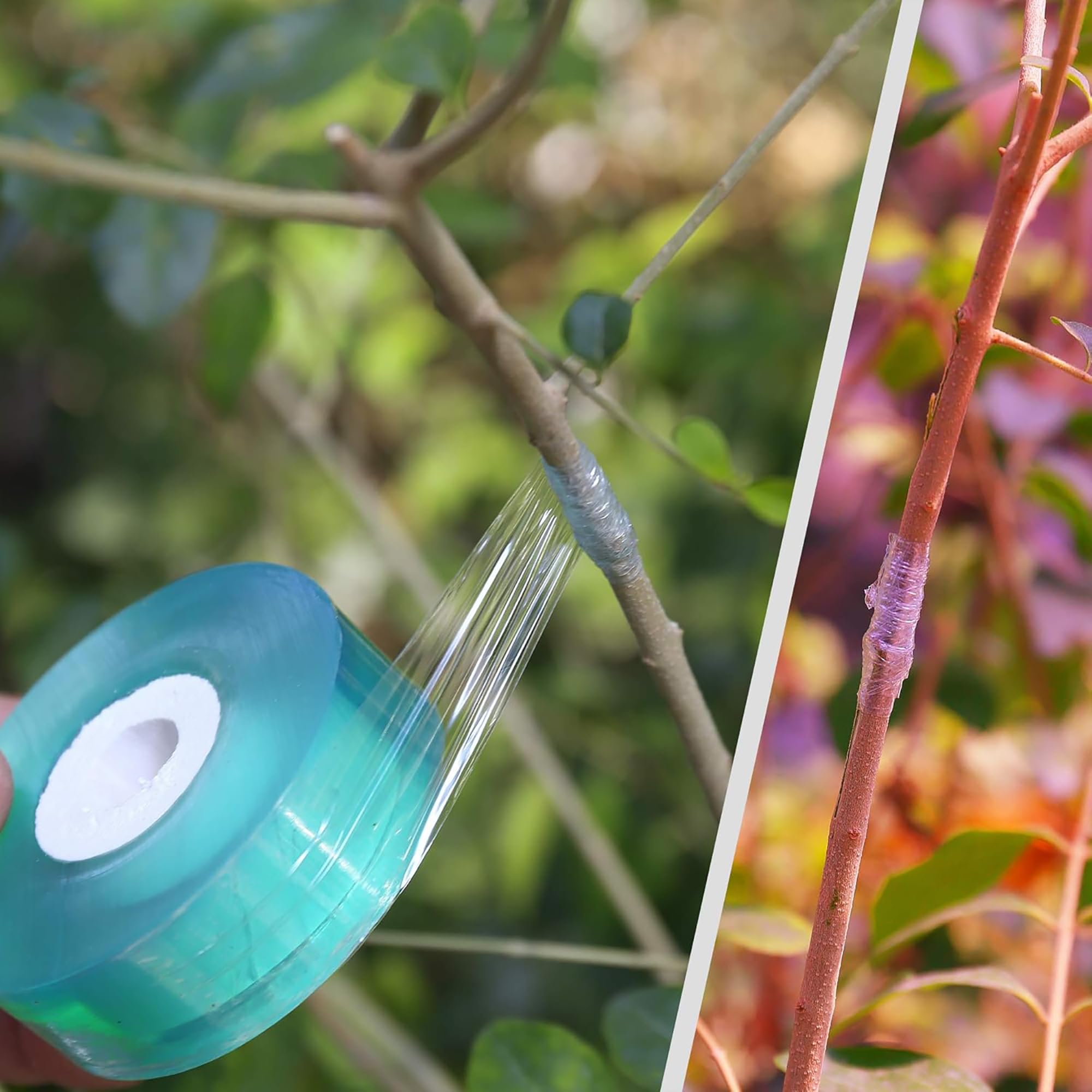 簡単使用 生分解性 自己粘着接木テープ 接木膜 植物結束ベル - Gardening Tools Uses のレビューと価格