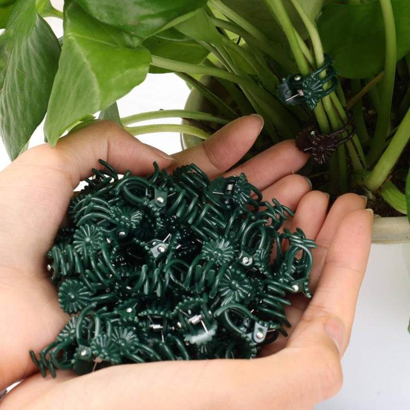 卸売ミニ植物サポートクリップ、庭の花、蘭、つる性植物用固定ク - Gardening Tools Wholesale のレビューと価格