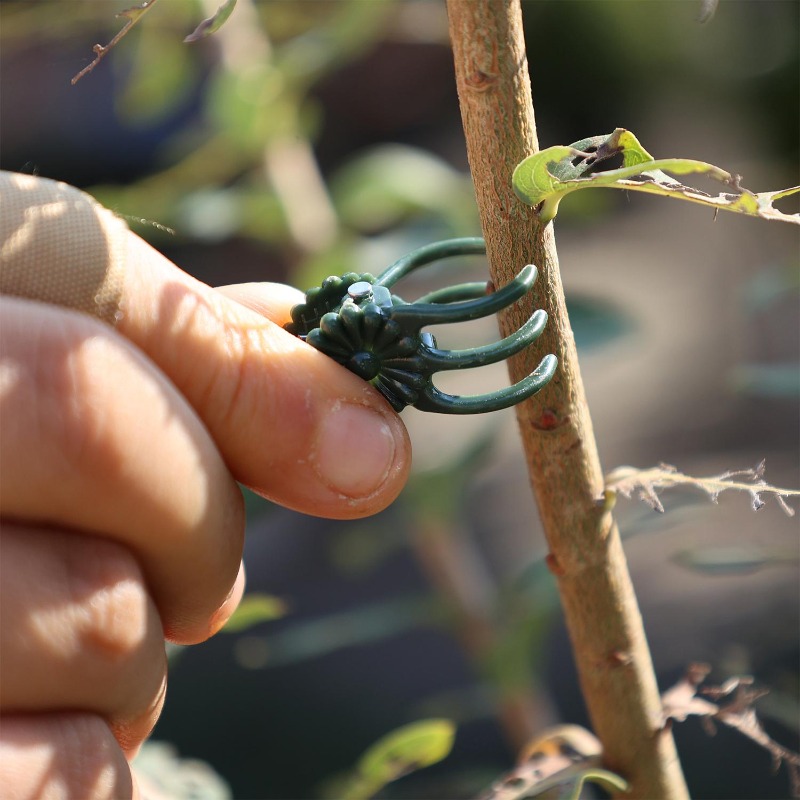 卸売ミニ植物サポートクリップ、庭の花、蘭、つる性植物用固定ク - Gardening Tools Wholesale のレビューと価格