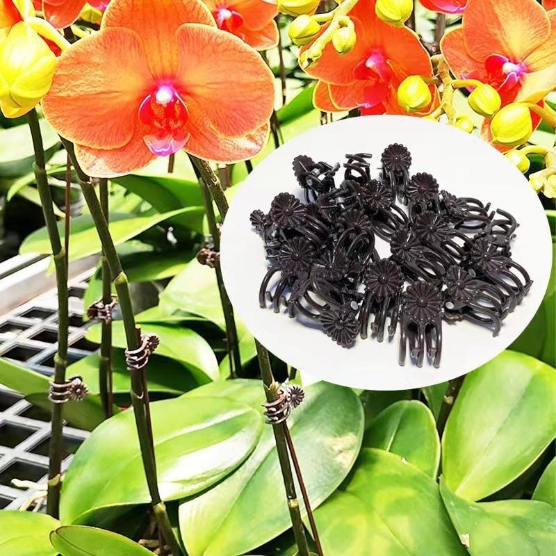 卸売ミニ植物サポートクリップ、庭の花、蘭、つる性植物用固定ク - Gardening Tools Wholesale のレビューと価格