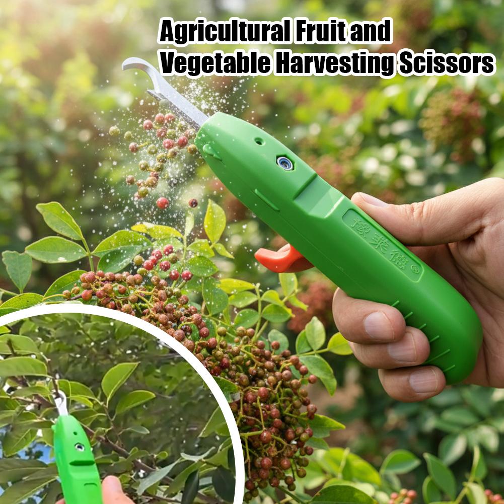 果物と野菜の収穫用剪定鋏、庭用剪定ばさみ、曲刃収穫ツール、ブ - Gardening Tools Wholesale のレビューと価格