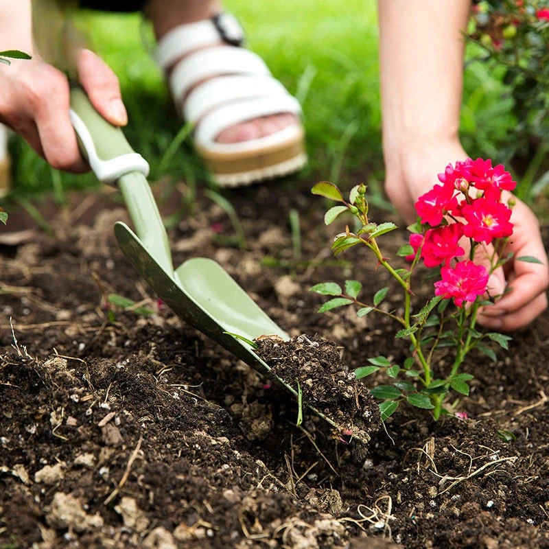耐久性のある小型シャベル爪付き鍬 花や野菜の植え付け 土掘り - Spade Digging Fork のレビューと価格