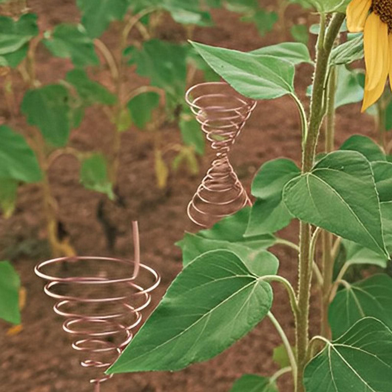 電気栽培用コイル巻線ジグ 電気栽培用銅製再利用可能耐久性のあ - Gardening Tool Diy のレビューと価格