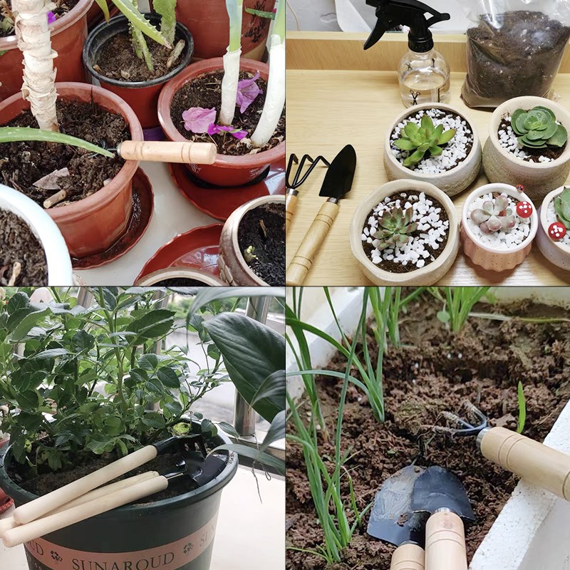 3PC/1 セットミニガーデニングツールセットポータブル小型 - Gardening Tools Hoe のレビューと価格