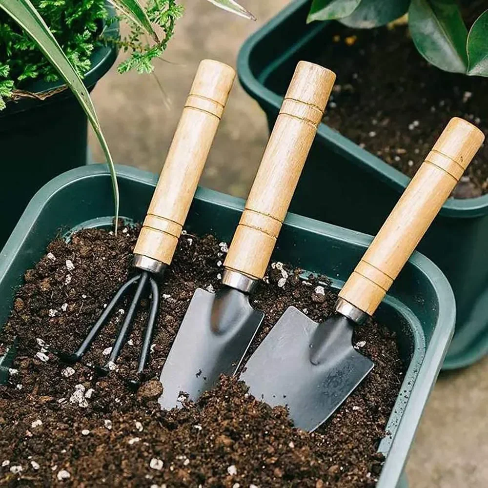 3 ピース/セットミニガーデンツールセット小型屋内植物ケア掘 - Gardening Tools Wholesale のレビューと価格