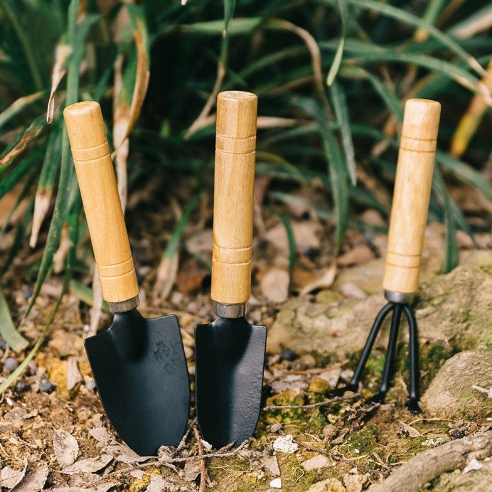 多機能ミニガーデン植栽ツールセット 土掘りシャベル 頑丈な盆 - Spade Digging Fork のレビューと価格