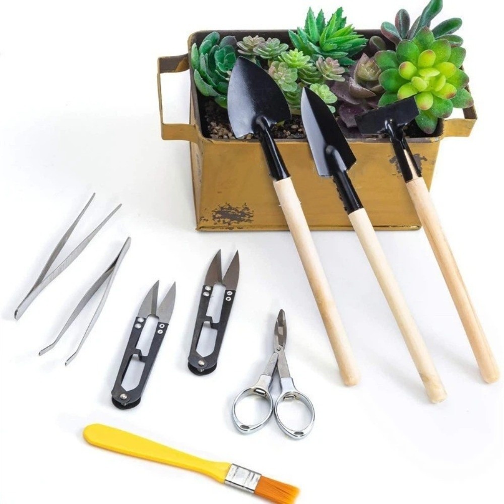 多機能ミニガーデン植栽ツールセット 土掘りシャベル 頑丈な盆 - Spade Digging Fork のレビューと価格
