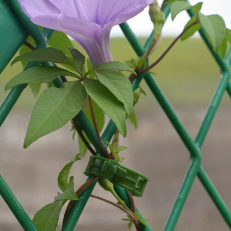 100 個/植物サポートクリッププラスチックタイトレリスステ - Gardening Tools Hoe のレビューと価格