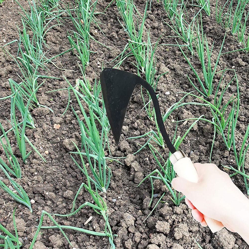 農具　三角鍬　家庭用農業除草鍬　植え付け・野菜園芸用　土壌ほ - Gardening Tools Hoe のレビューと価格