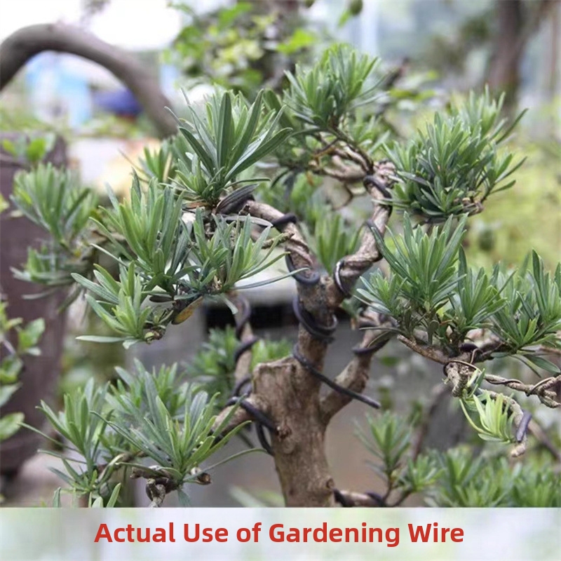 1.5MM盆栽ワイヤー アルミ盆栽トレーニングワイヤー モデ - Gardening Tools Uses のレビューと価格