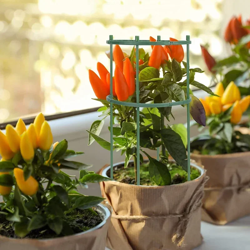 プラスチック製植物支柱スタンド 花や温室の配置用支柱 固定棒 - Gardening Tools Hoe のレビューと価格