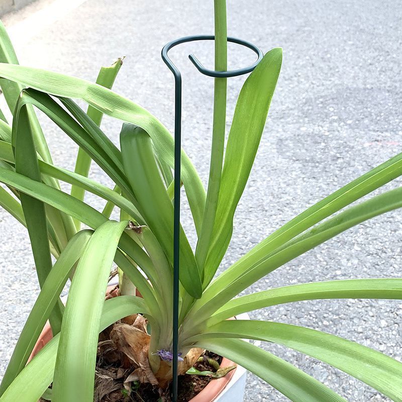 1-10 個金属単一幹植物低木ホルダーガーデンサポートステー - Gardening Tools Hoe のレビューと価格