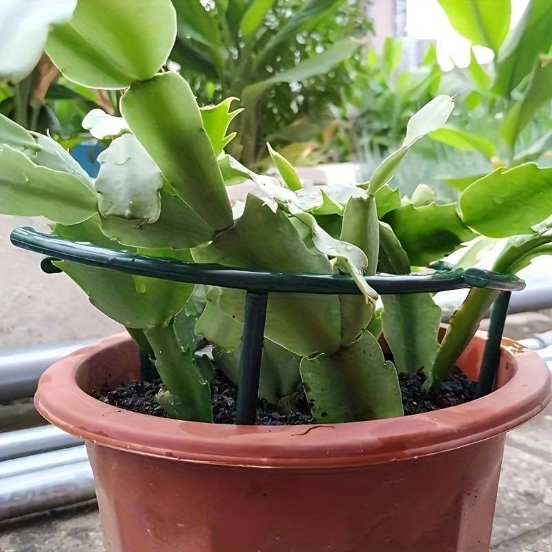 30-1 個プラスチック植物サポート半円形パイルフレーム固定 - Gardening Tools Hoe のレビューと価格