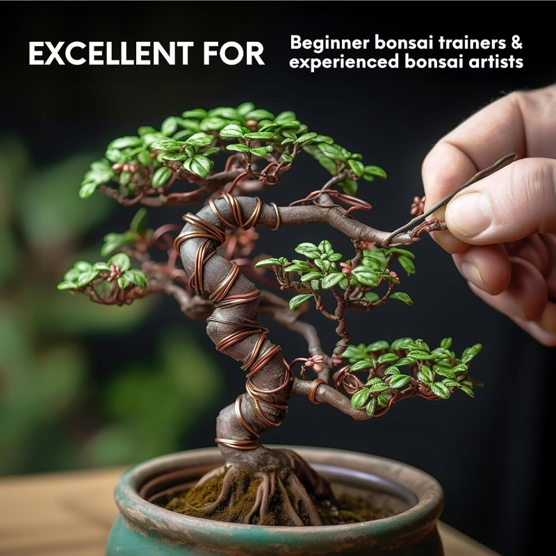 5 メートル盆栽トレーニングワイヤーセット庭の植物サポート用 - Gardening Tool Diy のレビューと価格