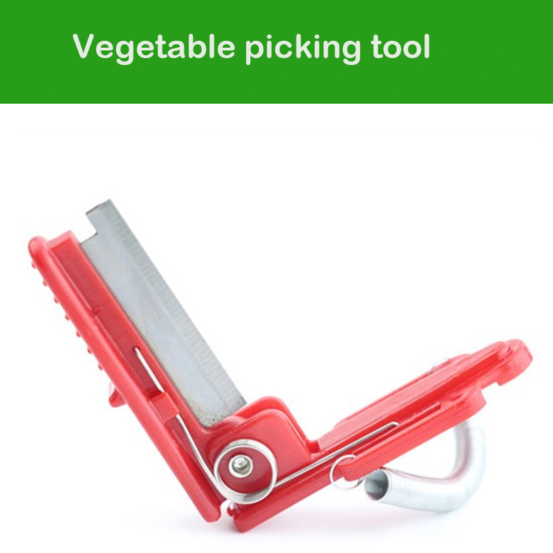 野菜の果物と野菜のナイフ,農場用のパンチツール - Gardening Tools Youtube のレビューと価格
