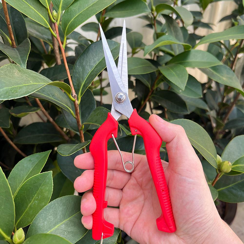 プロガーデン剪定鋏 延長型木花鋏 手動盆栽鋏 剪定鋏 スタン - Gardening Tools Wholesale のレビューと価格