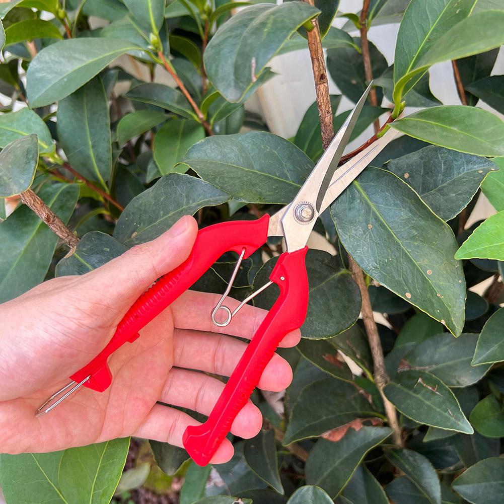 プロガーデン剪定鋏 延長型木花鋏 手動盆栽鋏 剪定鋏 スタン - Gardening Tools Wholesale のレビューと価格