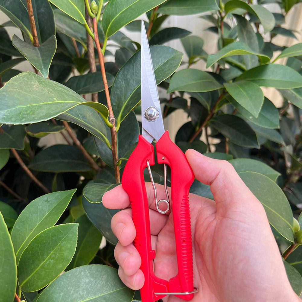 プロガーデン剪定鋏 延長型木花鋏 手動盆栽鋏 剪定鋏 スタン - Gardening Tools Wholesale のレビューと価格