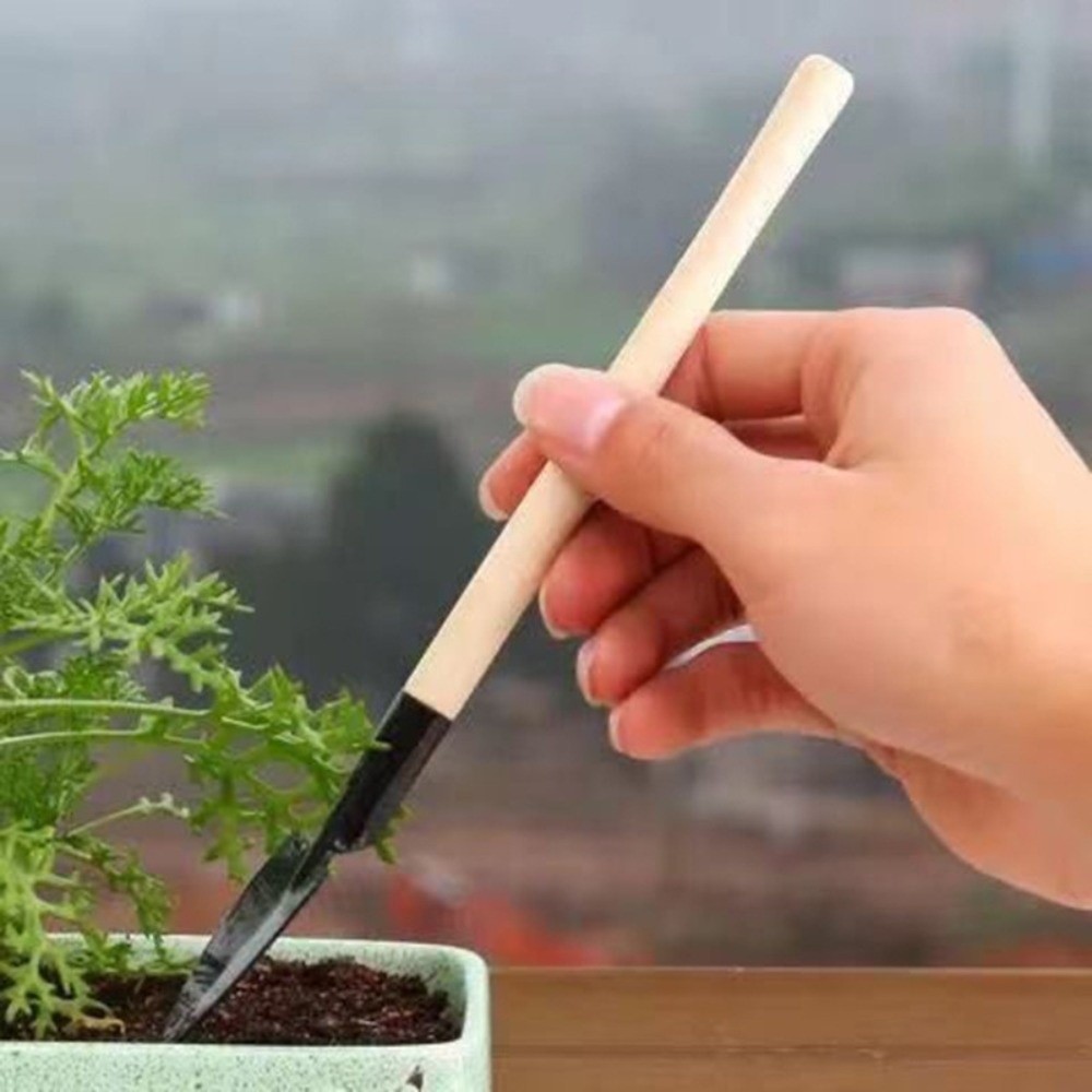 多機能ミニガーデン植栽ツールセット木製ハンドル土掘りシャベル - Spade Digging Fork のレビューと価格