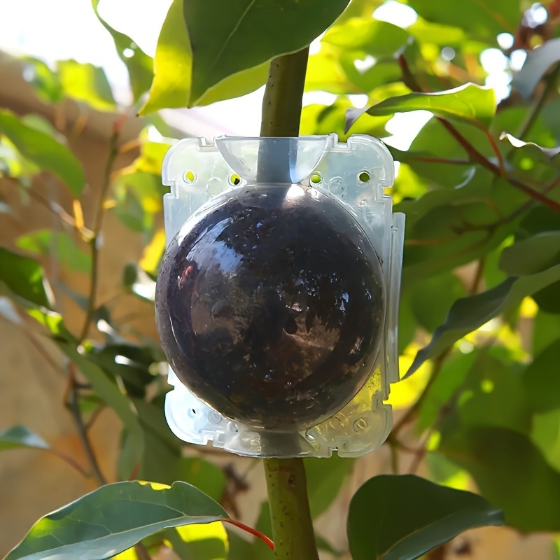 10個入り高圧植物発根繁殖ボックスキット、庭園用圧力ボール付 - Gardening Tools Uses のレビューと価格