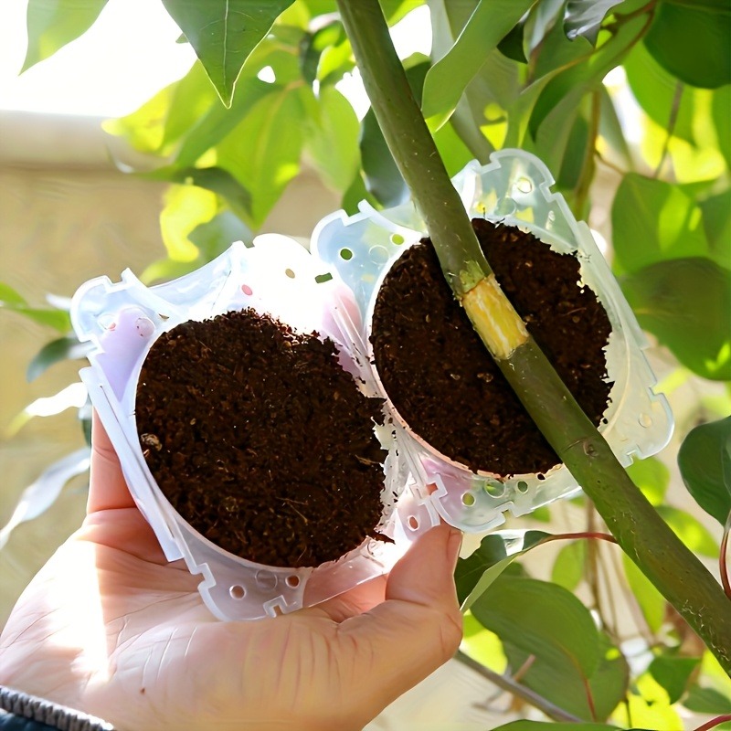 10個入り高圧植物発根繁殖ボックスキット、庭園用圧力ボール付 - Gardening Tools Uses のレビューと価格