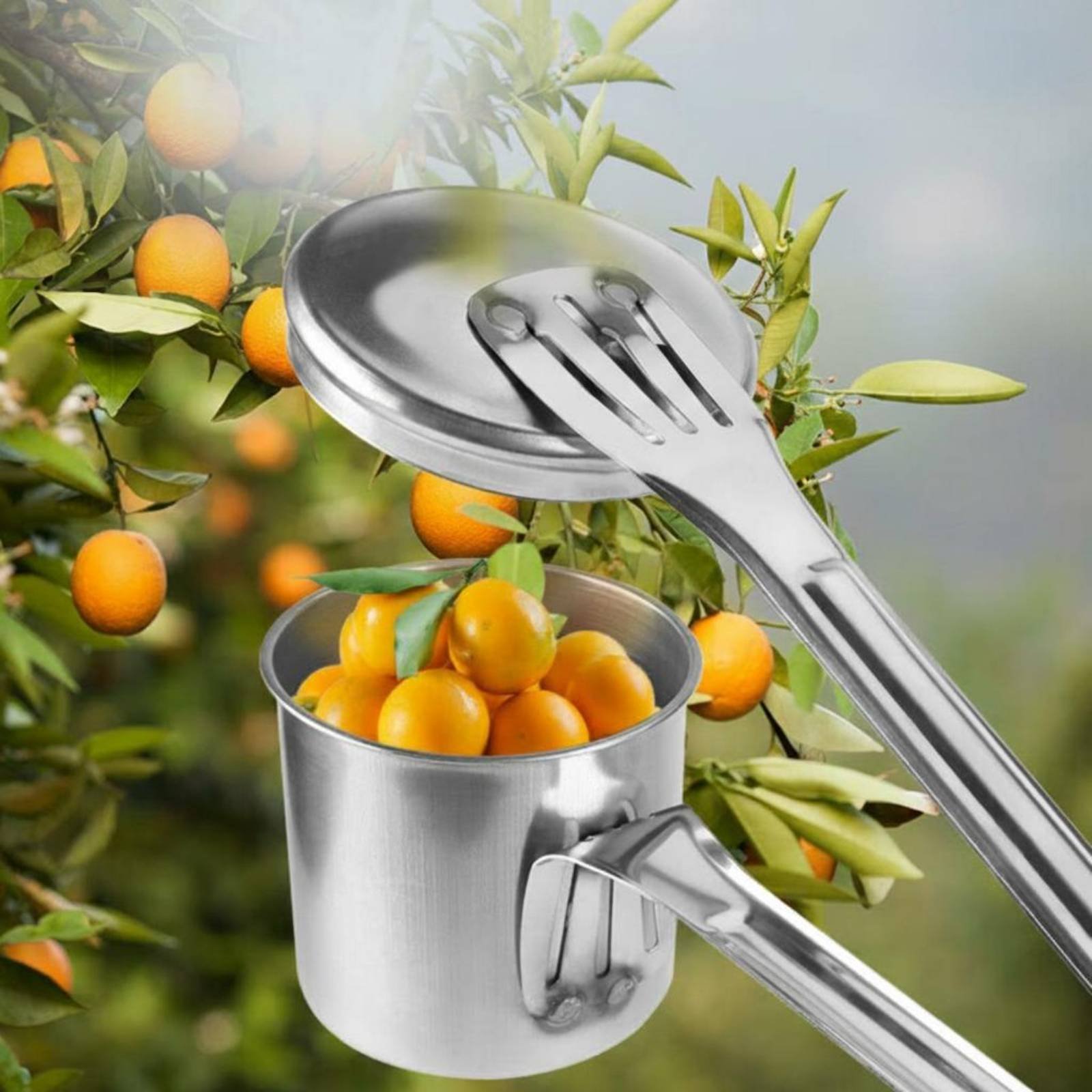 カップフルーツピッカー ステンレス鋼製フルーツピッキングツー - Gardening Tools Uses のレビューと価格