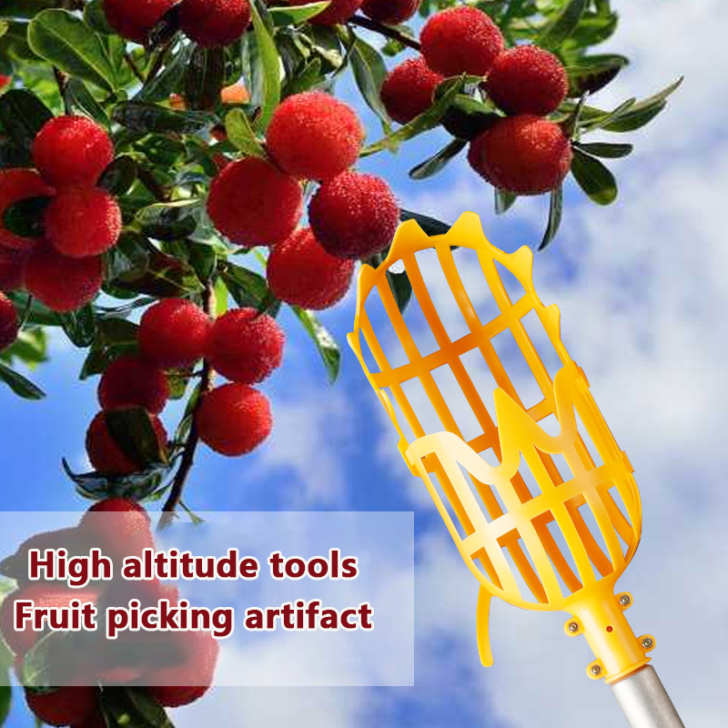 [中]プラム摘み取り用具、ベイベリーツール、ガーデンバスケッ - Gardening Tools Plastic のレビューと価格
