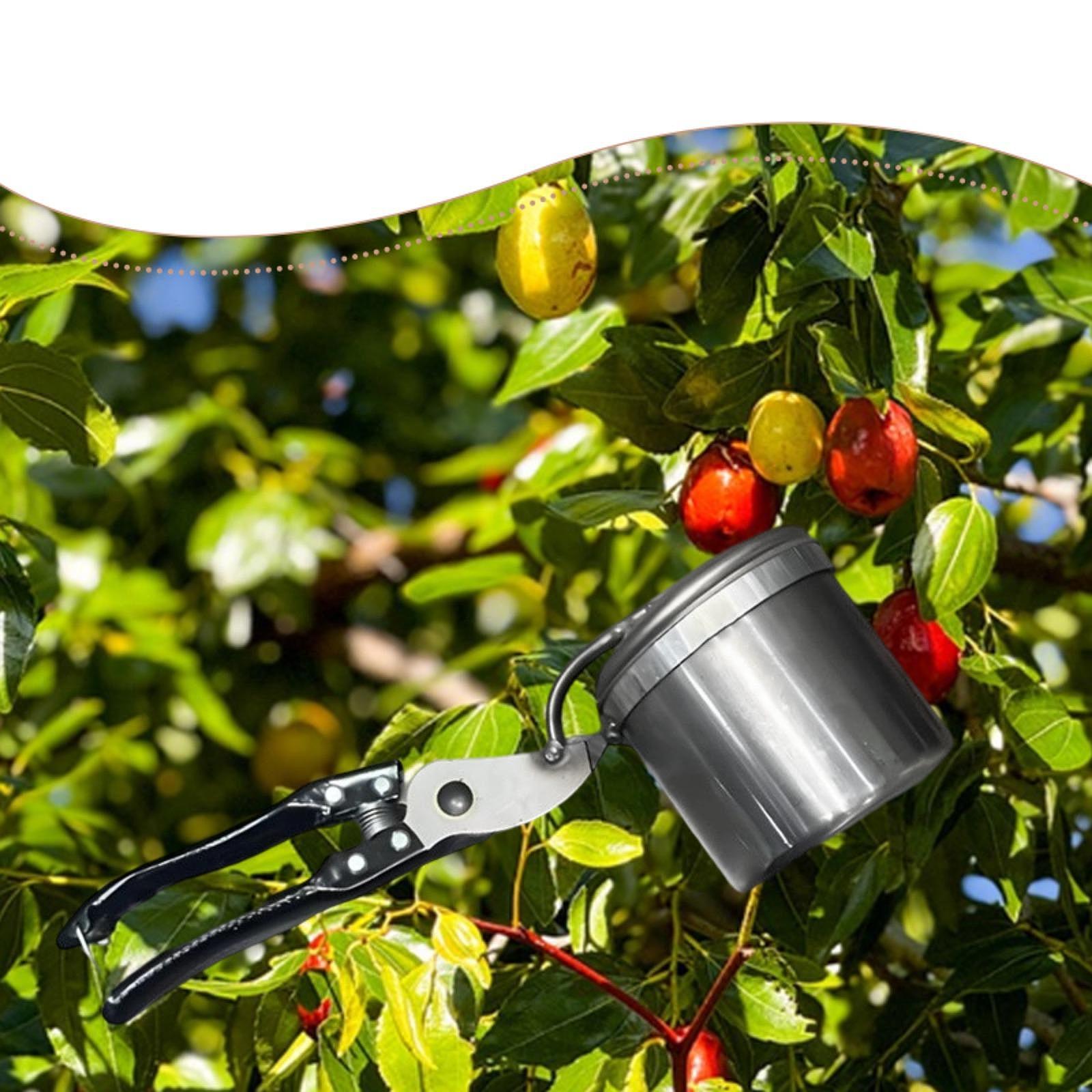 フルーツピッカー、使いやすいポータブルガーデニングツール、手 - Gardening Tools Uses のレビューと価格