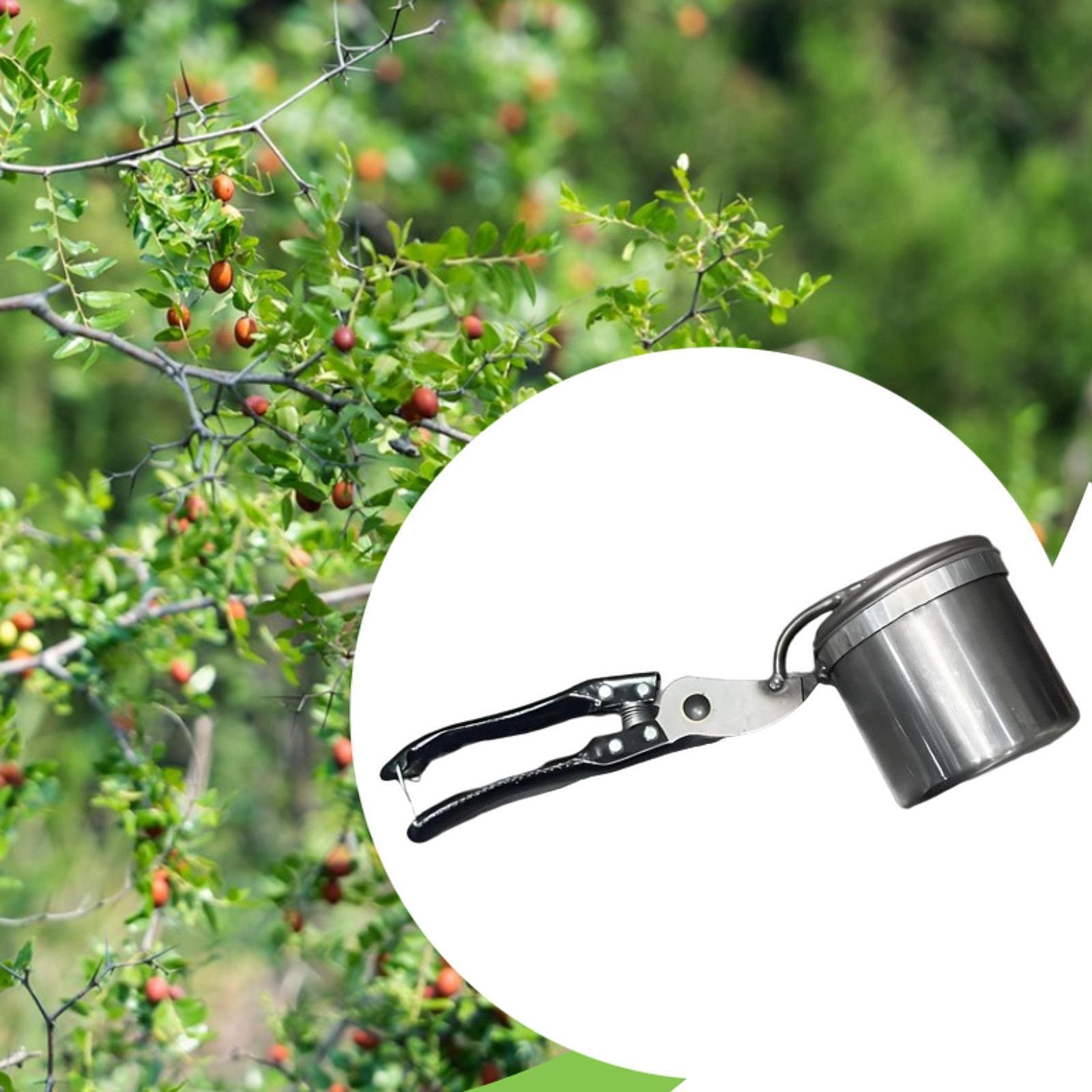 フルーツピッカー、使いやすいポータブルガーデニングツール、手 - Gardening Tools Uses のレビューと価格