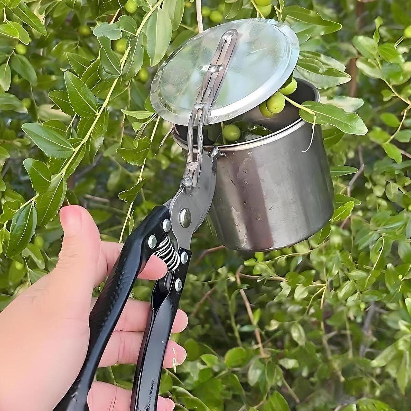 フルーツピッカー、使いやすいポータブルガーデニングツール、手 - Gardening Tools Uses のレビューと価格