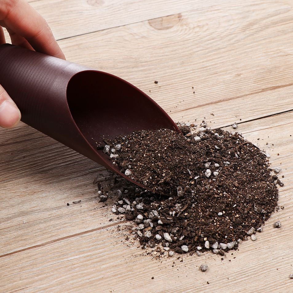 プラスチック製の庭の手入れ用の芝生の形をしたポーチ,植物が付 - Gardening Tools Hoe のレビューと価格
